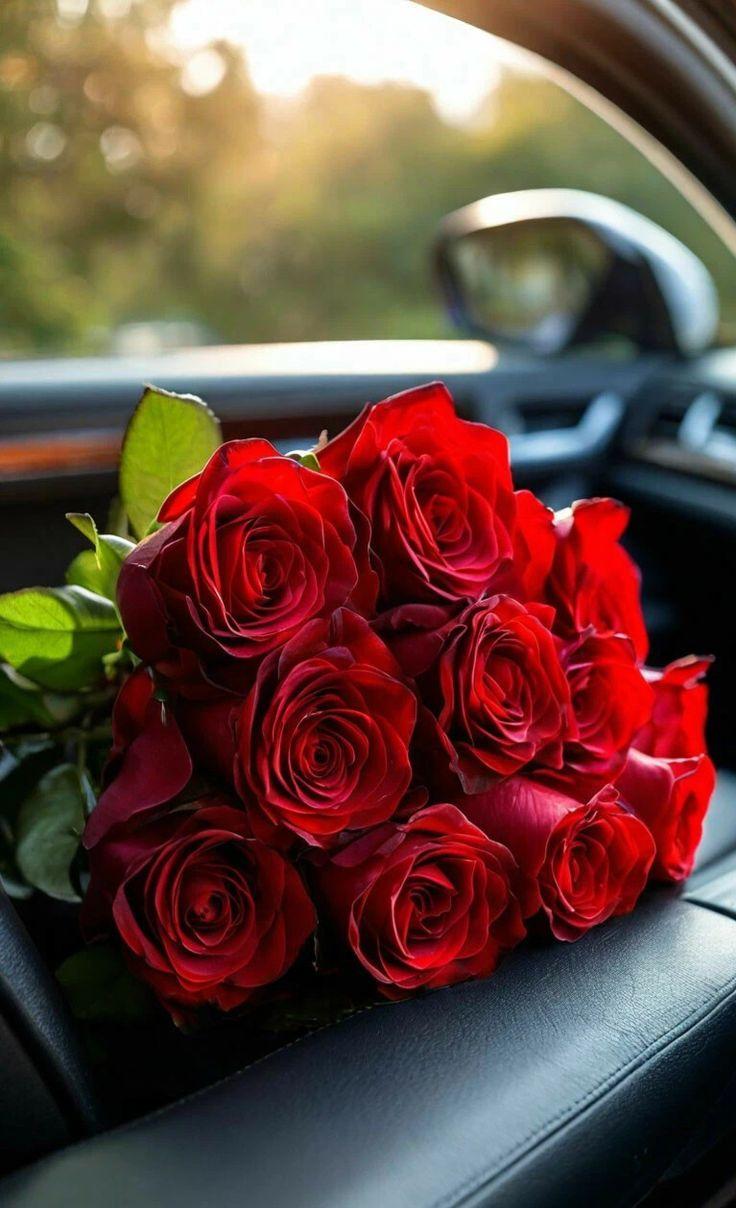 Eternal Elegance: Timeless Roses in Harmony